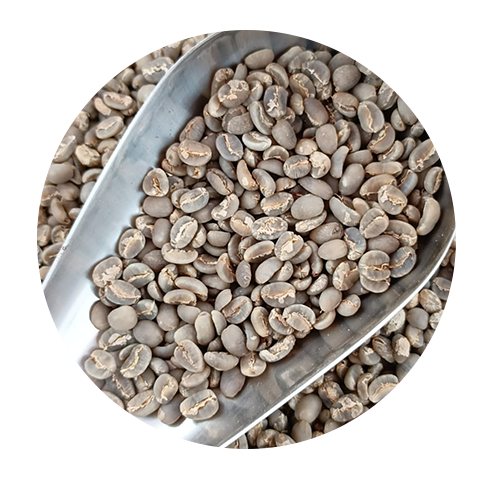 lintong arabica