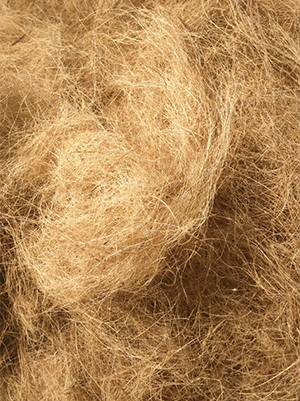 Coconut Fibre