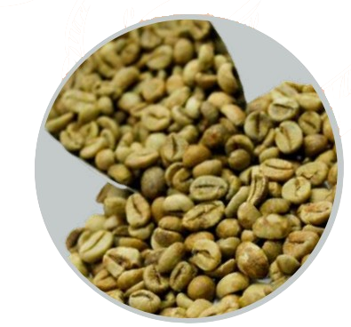 kintamani natural arabica